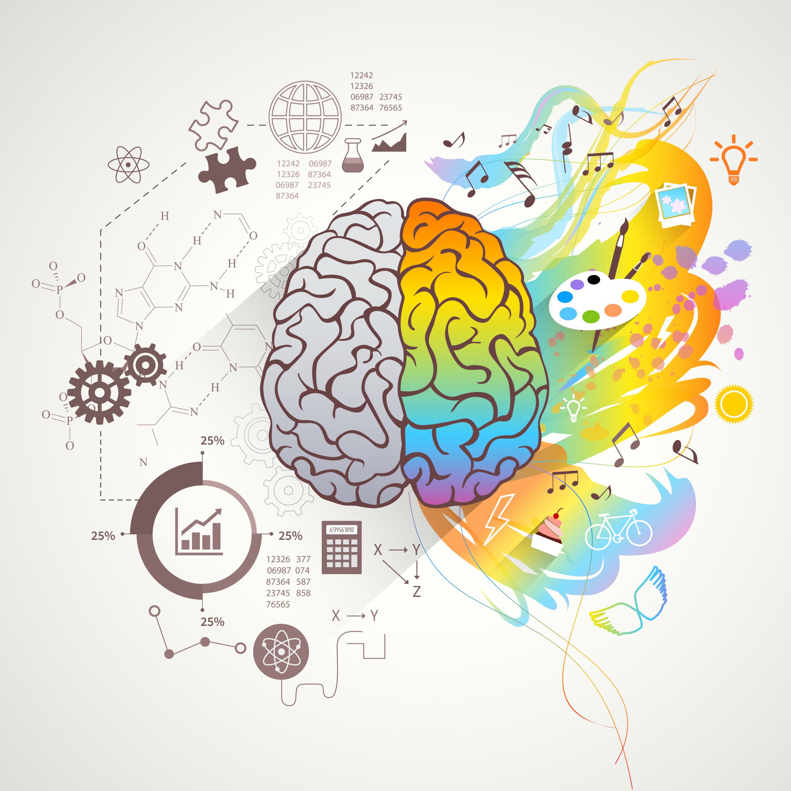 Left Right Brain Concept Left and right brain concept with colors music and science flat vector illustration